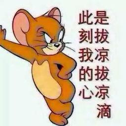 吃瓜群众搞笑合集  第3张